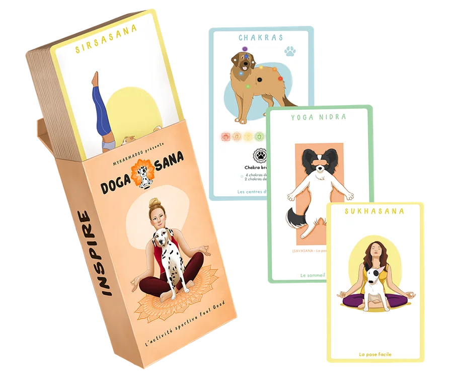 Le jeu de cartes Dogasana et ses cartes de postures