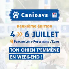 Atelier Massage Canin au CANIDAY'S en Normandie