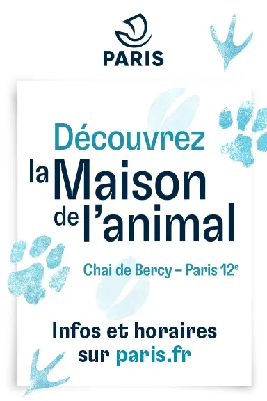 Doga à la Maison de l'Animal - Paris 12
