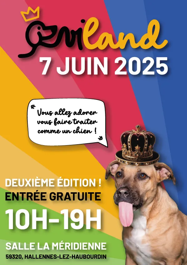Doga & Massage canin - EVILAND chez Évident (59350)