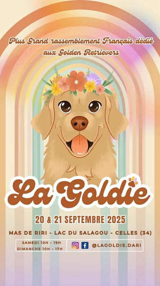 La Goldie Festival les 20 & 21 septembre| Doga & Massage Canin