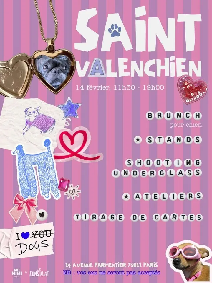 Doga & Massage canin pour la Saint-Valenchien l Paris 11ème