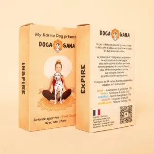 Dogasana cartes de yoga avec chien