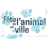 À l'agenda de My Karma Dog