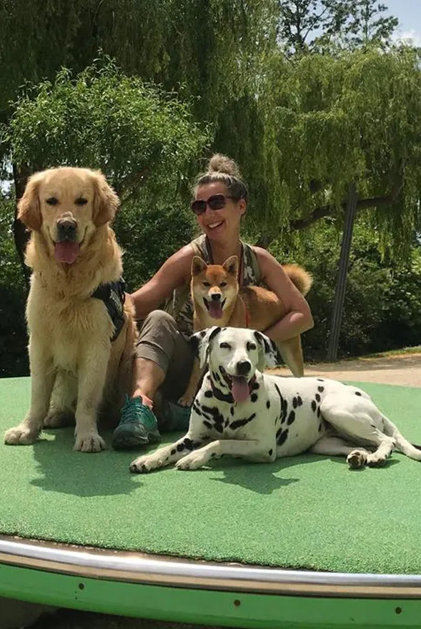 Pet-sitting & dog-walking