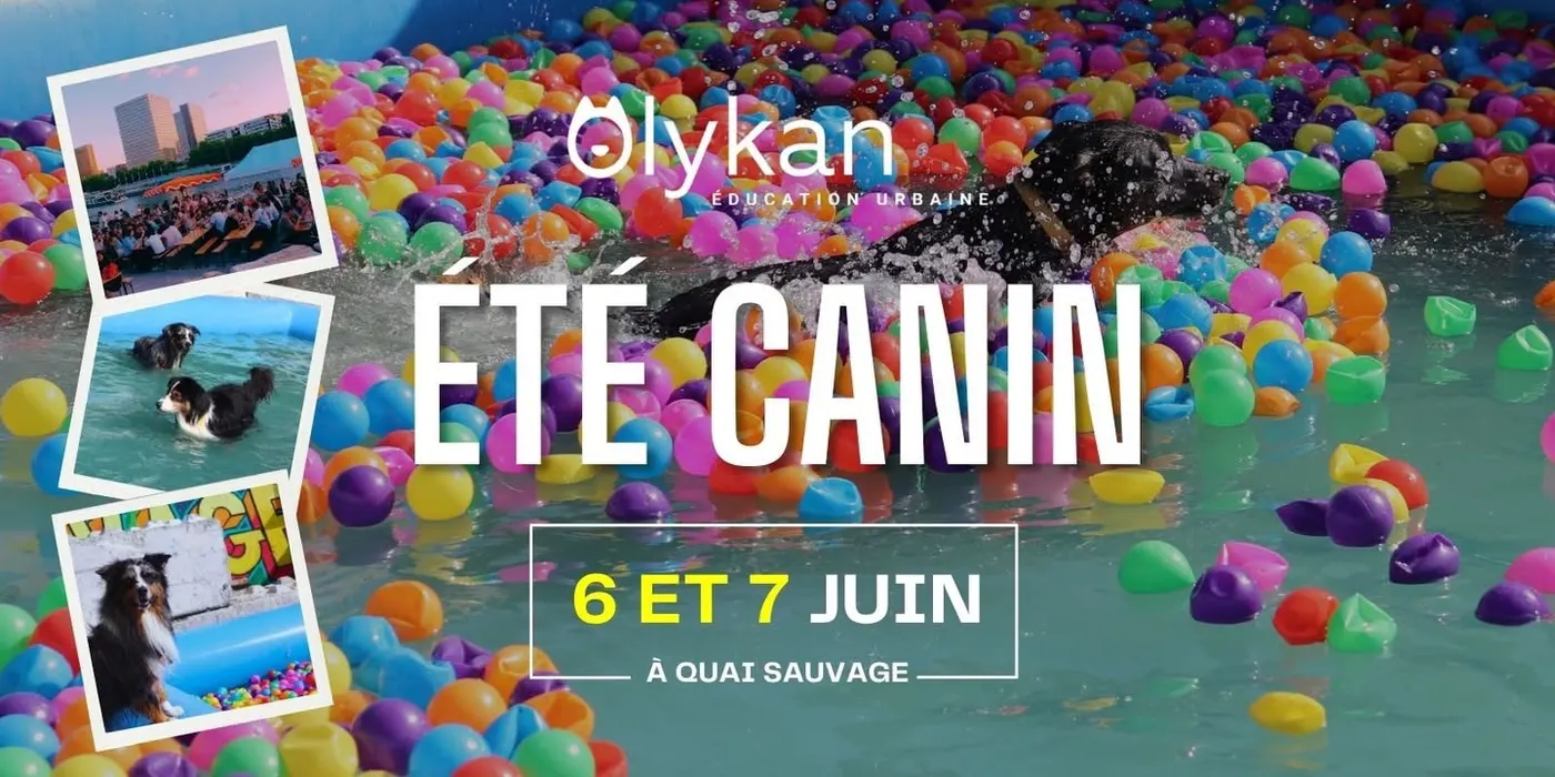 L'été Canin de retour aux Quais Sauvages