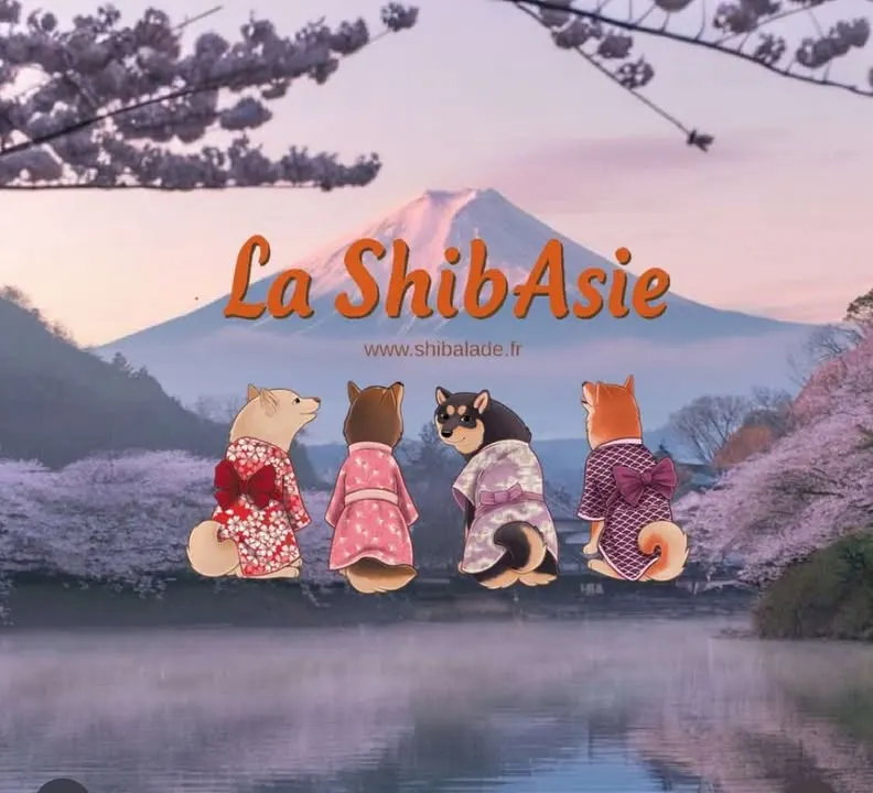 SHIBASIE le 26 octobre