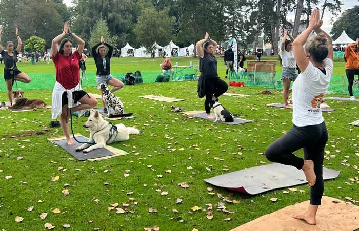 Séance de méditation et de yoga