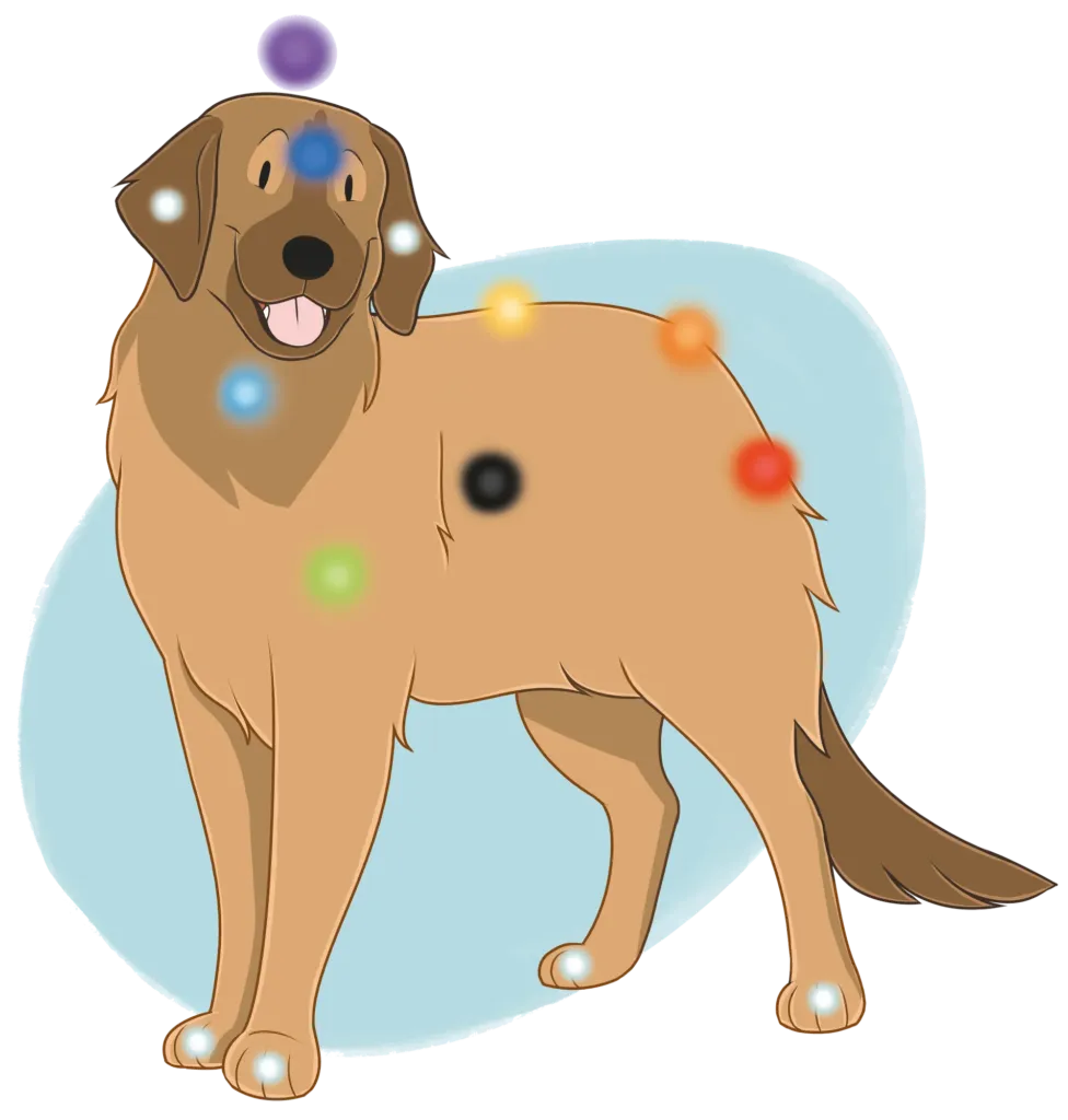 Schéma des chakras du chien