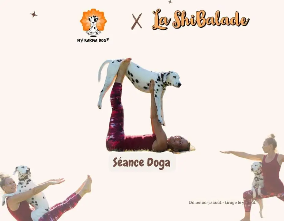 ShibaDoga avec la Shibalade le 14/09 au centre MKD à Villejuif (94)